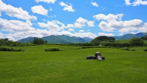 十勝千年の森の風景
