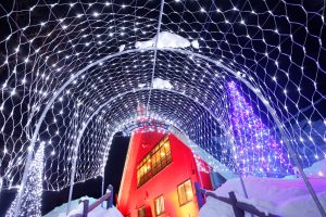 冬のイルミネーション